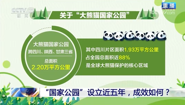 c9d534ed-2a5e-4a9c-9243-8f907b6d2e39